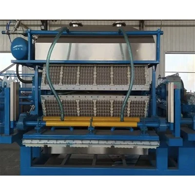 Egg Tray Machine Customer Case China Egg Tray Machine Customer Case China